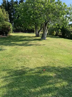 Jardín al aire libre en Can Figueretes II
