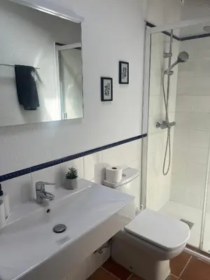 Un baño de Can Figueretes II