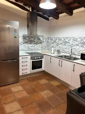 Una cocina o zona de cocina en Can Figueretes II
