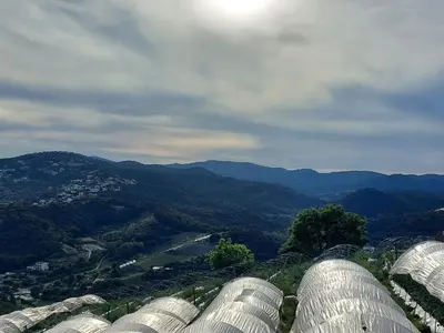 Paisaje cerca de este hostal o pensión