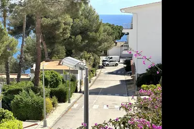 El barrio de los alrededores o un barrio cerca de esta casa o chalet