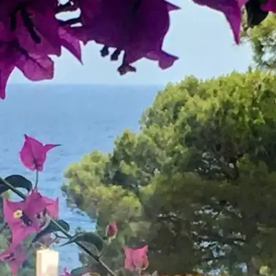 LETS HOLIDAYS House beach in Cala Salions