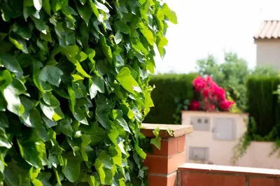 Jardín al aire libre en Planta baja céntrica y tranquila en S'Agaró