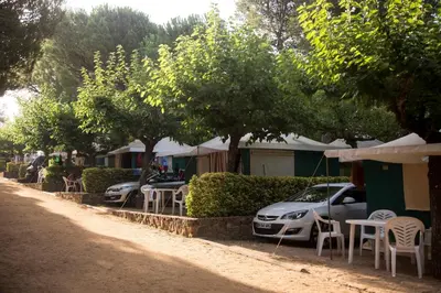 Plano de Camping Internacional Palamós