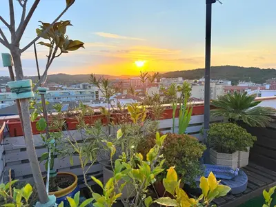 Paisaje cerca de este apartamento