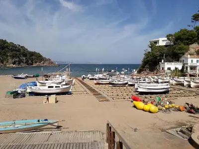 Paisaje cerca de este apartamento