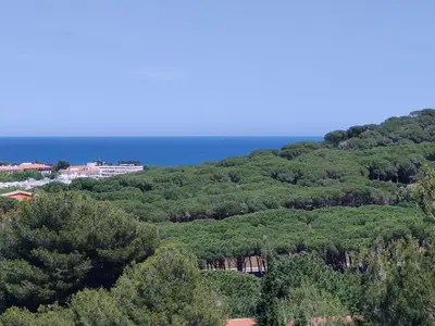 Paisaje cerca de este apartamento