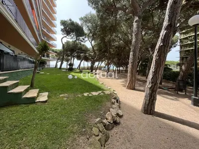 Jardín al aire libre en Cavall Bernat 84