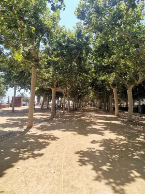 Plano de Apartamento centrico en Calella