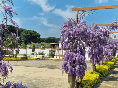 Jardín al aire libre en Villa de Gracia Casa 3