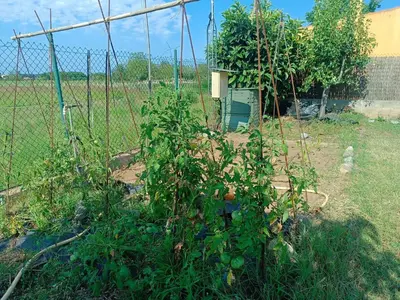 Jardín al aire libre en House in Girona - Empordà