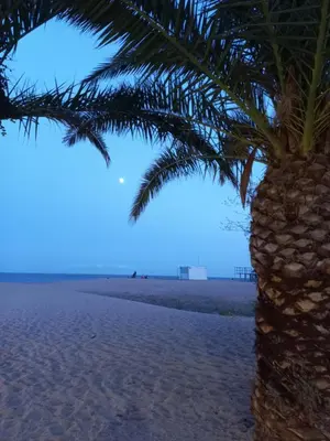 Paisaje cerca de este apartamento