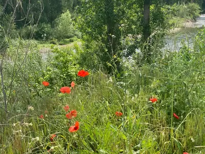 Paisaje cerca de esta villa
