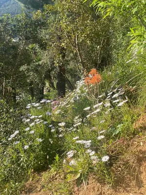 Paisaje cerca de esta villa