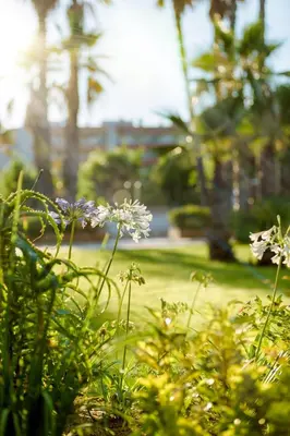 Jardín al aire libre en Càmping Bellsol