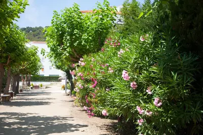 Jardín al aire libre en Marina Tossa