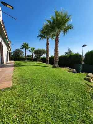 Jardín al aire libre en Seaview,Spacious, most beautiful,highly rated Villa