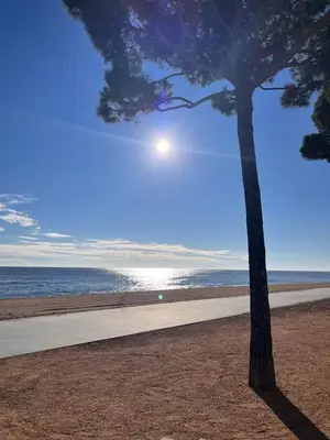 Paisaje cerca de este apartamento