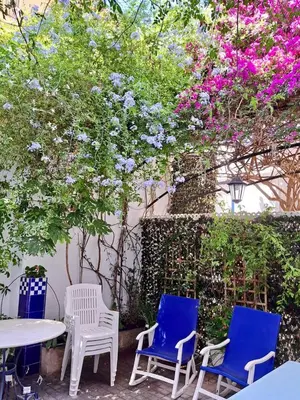 Jardín al aire libre en HomeHolidaysRentals Suria - Costa Barcelona