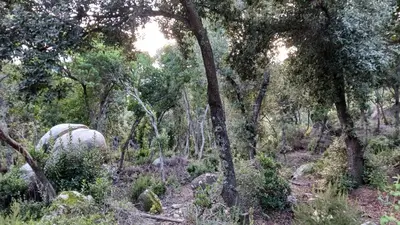 Jardín al aire libre en Parc du Montnegre avec magnifique vue mer
