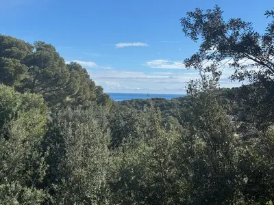Paisaje cerca de este apartamento