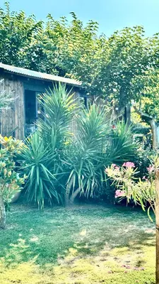 Jardín al aire libre en Costa Brava Insólita con Piscina Privada, AC, WIFI, Parking, Terraza