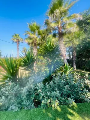 Jardín al aire libre en Costa Brava Insólita con Piscina Privada, AC, WIFI, Parking, Terraza