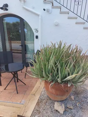 Un balcón o terraza de Hotel Nuevo Ondina