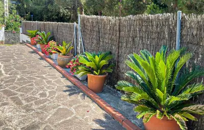 Jardín al aire libre en Pet Friendly Home In Vidreres