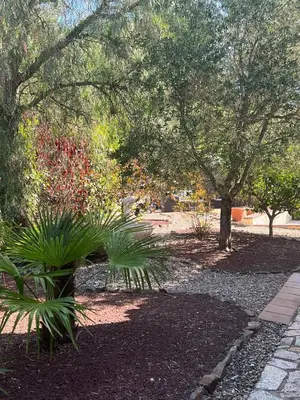 Jardín al aire libre en Villa Anna- Calonge, Costa Brava