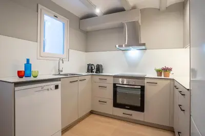 Una cocina o zona de cocina en Alta House Apartments Sa Tuna Playa