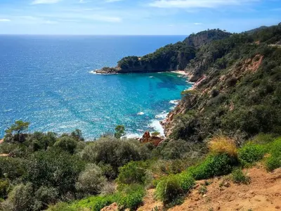 Paisaje cerca de este apartamento