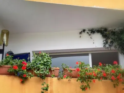 Jardín al aire libre en Apartament Sant Feliu de Guíxols downtown