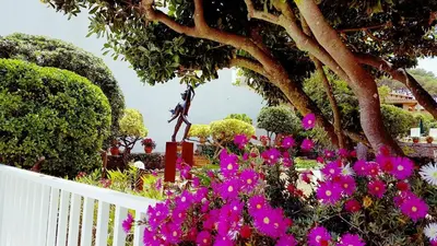 Jardín al aire libre en apartamento con jardín a 11 metros de la playa B2