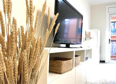 Una televisión o centro de entretenimiento en Apto el Piset, acogedor y céntrico del Montseny