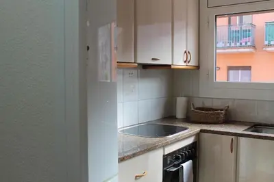 Una cocina o zona de cocina en Apto el Piset, acogedor y céntrico del Montseny