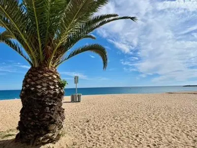 Paisaje cerca de este apartamento