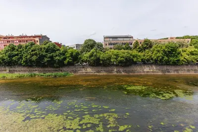 Vista de un río cerca de este apartamento