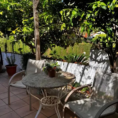 Jardín al aire libre en Estudio limonero en Sant Cebriá de Vallalta 20' playa