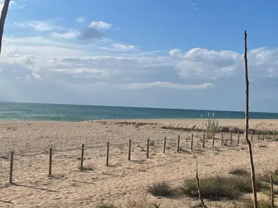 Paisaje cerca de este apartamento