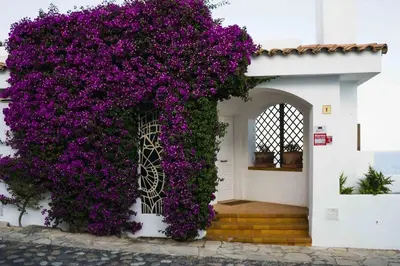 Jardín al aire libre en Exclusive Mediterranean Panorama in Sant Pol de Mar