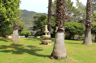 Paisaje cerca de este apartamento
