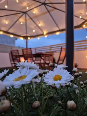 Plano de Gran terrassa al cantó del mar