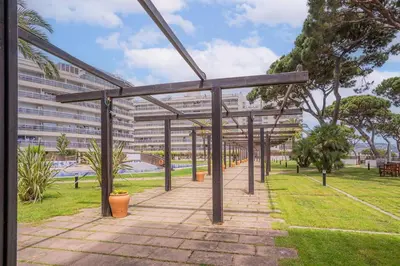 Jardín al aire libre en Sabanell Park - Antoni