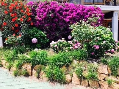 Jardín al aire libre en Cosy apartment with fabulous SEA VIEWS 70's style