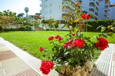 Jardín al aire libre en AL50 Apartamento playa Fenals