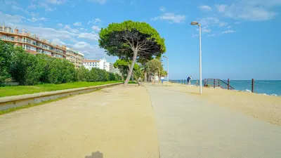 Paisaje cerca de este apartamento