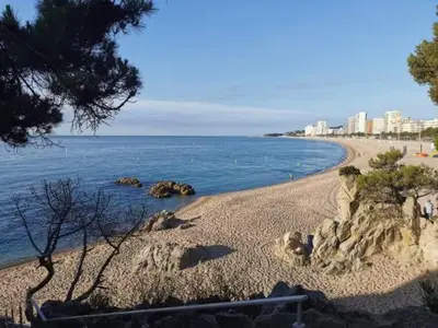 Paisaje cerca de este apartamento