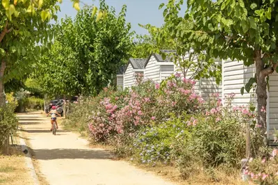 Jardín al aire libre en Camping Alannia El Pinar