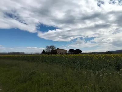 Paisaje cerca de este apartamento